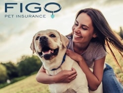 Car Insurance Harford County