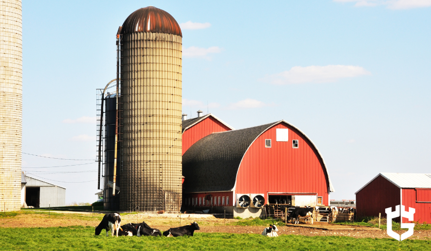 Red barn and silos beside grazing dairy cows on green field