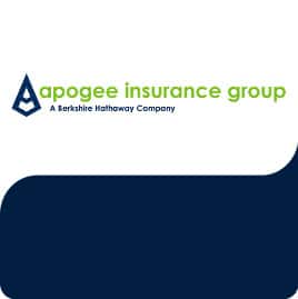 Apogee Insurance Group